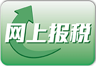 个别人士报税表图示